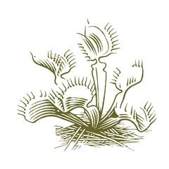 abstract floral background