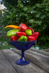 colorful paprika and chili in a vintage blue vase.