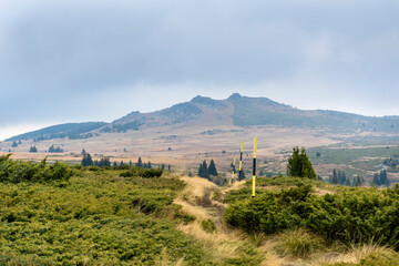 Mountain Landscape with Pine Trees and Cloudy Foggy Sky . Vitosha Mountain , Bulgaria 