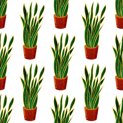 Hand-drawn watercolor seamless pattern of Sansevieria in brown pot