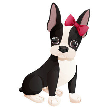 Boston terrier cool puppy with bow sitting in cartoon style isolated on white background. Cute dog, print design