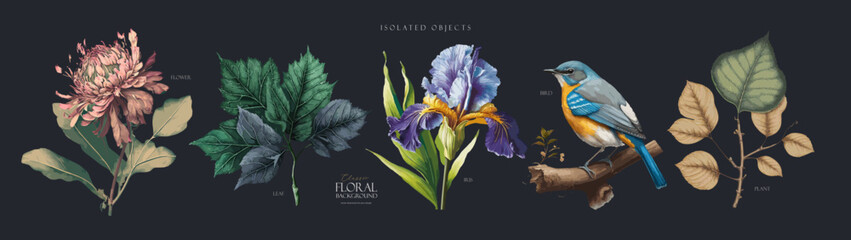 Vector illustrations of flower, plant, floral pattern, leaves, bird, iris for greeting card, flyer or frame - obrazy, fototapety, plakaty