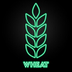 wheat neon sign, modern glowing banner design, colorful modern design trends on black background. Vector illustration.