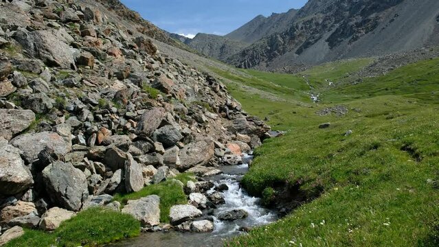 Video of Altai river Yarlyamry. The stream runs along moraine and alpine forb meadow.