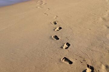 Fototapeta na wymiar Footprints in the sand by the sea