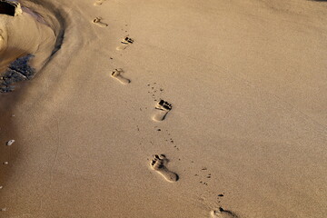 Footprints in the sand by the sea
