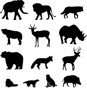 Silhouettes of forest animals on isolated white background. Vector illustration. 