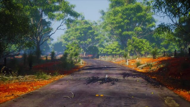 Jungle road in Baluran Park in Indonesia