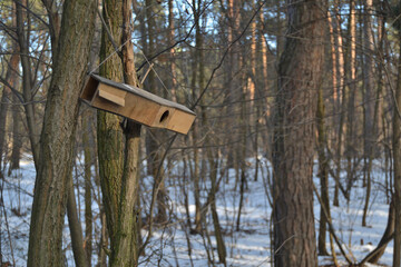 Wooden bird feeder on a tree in a winter, snowy forest