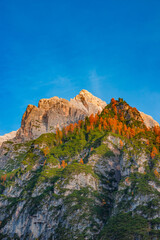 Cover page with magical nature, Alps mountains and forest in Dolomites at the national park Three Peaks, during golden Autumn, South Tyrol, Italy, with blue sky background and copy space