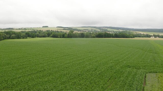 Beautiful green farm in Europe