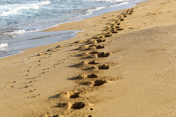 Footprints in the sand by the sea
