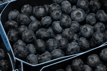 Fresh blueberries close up, selective focus.