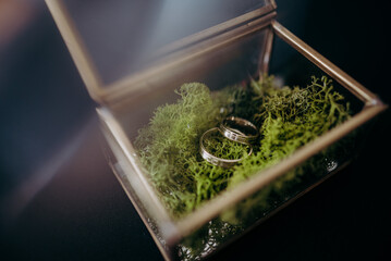 Obrączki ślubne w okazjonalnym pudełku