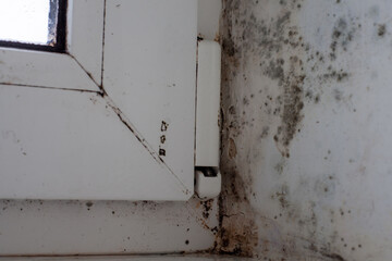 Fungus on the window walls, excessive moisture on the windows causes mold in winter.