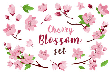 Fototapeta na wymiar Cherry blossom set with isolated elements in flat cartoon design. Bundle of sakura branches, buds, leaves, twigs, petals, cherry blooming flowers bouquet and decorative symbols.