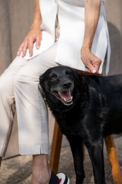 Senior woman with dog