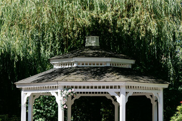 A Gazebo under a Willow Tree