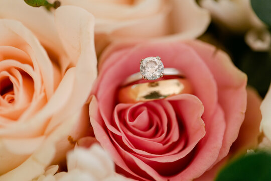Closeup of Wedding Rings in Rose Petals