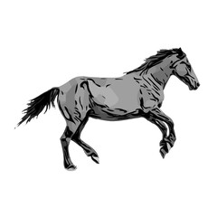 black and white sketch of a horse with a transparent background
