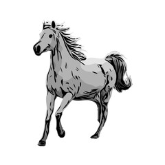 Obraz na płótnie Canvas black and white sketch of a horse with a transparent background