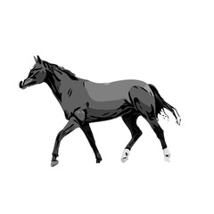 Plakat black and white sketch of a horse with a transparent background