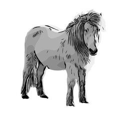 black and white sketch of a horse with a transparent background