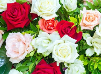 Colorful fresh roses or multi-colored roses background. A beautiful bouquet of roses for valentines