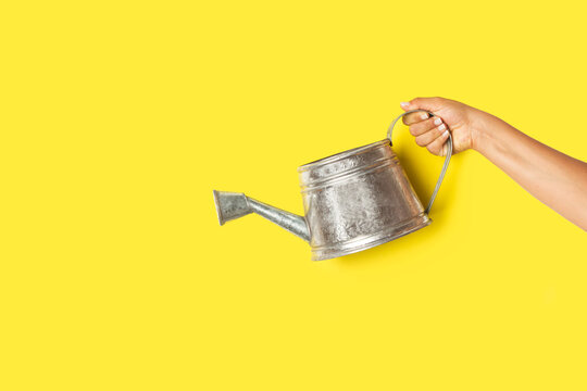 Mano de mujer sosteniendo una regadera de zinc sobre un fondo amarillo brillante liso y aislado. Vista de frente y de cerca. Copy space