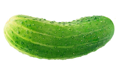One fresh cucumber cut out