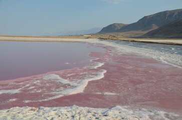 pink coloured shallow water with mountains in background at pink lake Shiraz, Iran