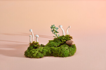 Stones, natural green moss and fern composition.