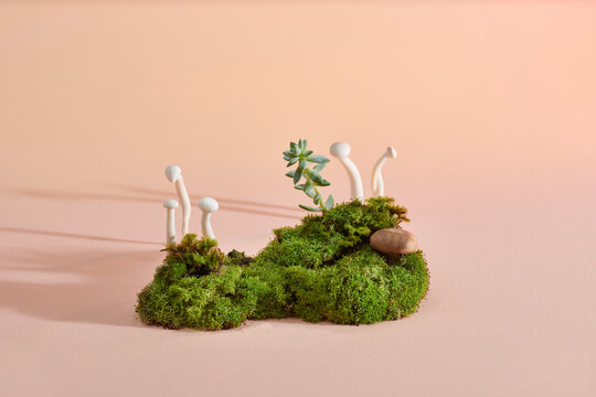 Stones, natural green moss and fern composition.