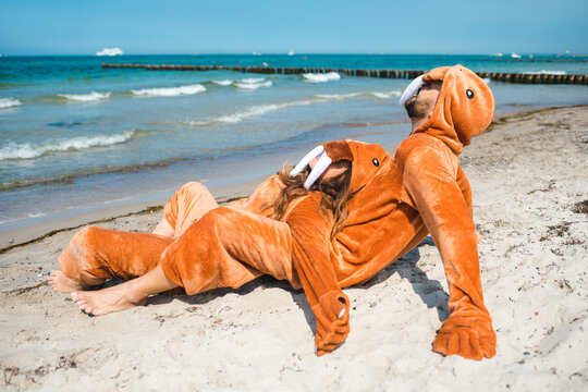 Couple of walruses chill on the beach