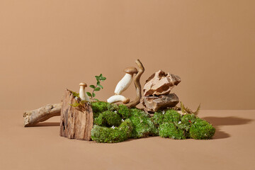 showcase display for natural eco products with dry bush branch