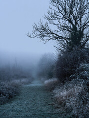 Winter’s arrival in the UK - a path leading to a shrouded horizon with the frost and fog turning the familiar landscape into a mystical, liminal space.