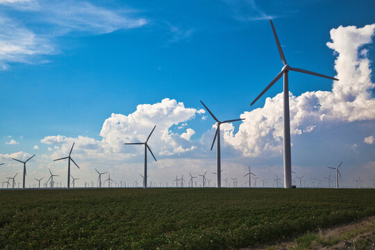 Wind turbines in field against sky, Abilene, Texas, USA