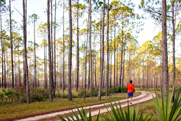 A runner jogs along a dirt road near straight pine trees and sawgrass.
