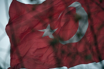 Red flag obstructed by branches.