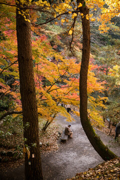 Man sits alone on park bench in Naritasan Park, Narita, Japan