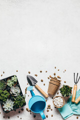 Gardening - set of tools for gardener and succulents seedlings on white table background. Spring...