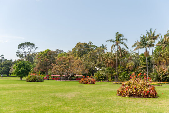 Royal Botanic Gardens In Sydney, Australia With Tourists People And Local Park Train