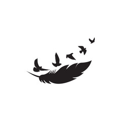 Birds flying with feather