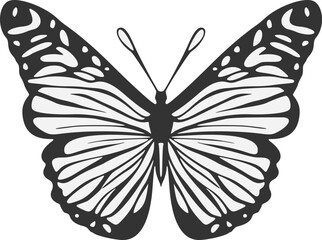 Design of butterfly draw