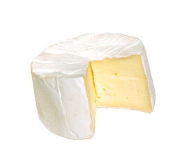Brie cheese piece isolated on layered transparent background. - 560729502