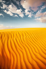 Dune de sable dans le désert. - 560731354