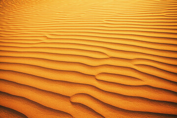 Ondulations dans le sable du désert. - 560731507