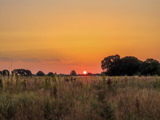 Fototapeta na wymiar bright orange sunrise over countryside in the River Hamble Country Park Hampshire England
