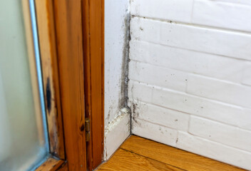 Condensation mold in a corner of the wall near the window frame.