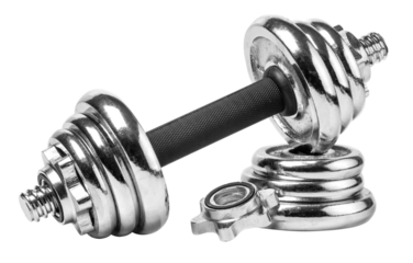 silver fitness weights